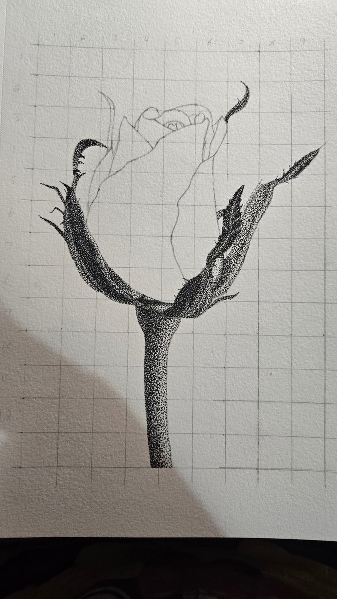 ACallaLilly's tweet photo. I've been working on a TON of art lately most are a wip but they are getting there. Here are some things I'm working on. The flower is what I'm working on right now. :3 https://t.co/XazkNn0BUI