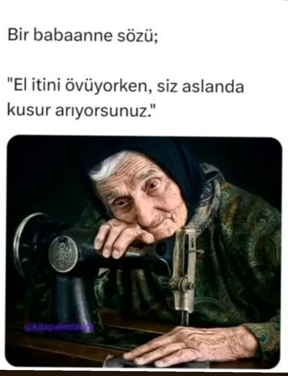 brutalite_11's tweet image. #dimi