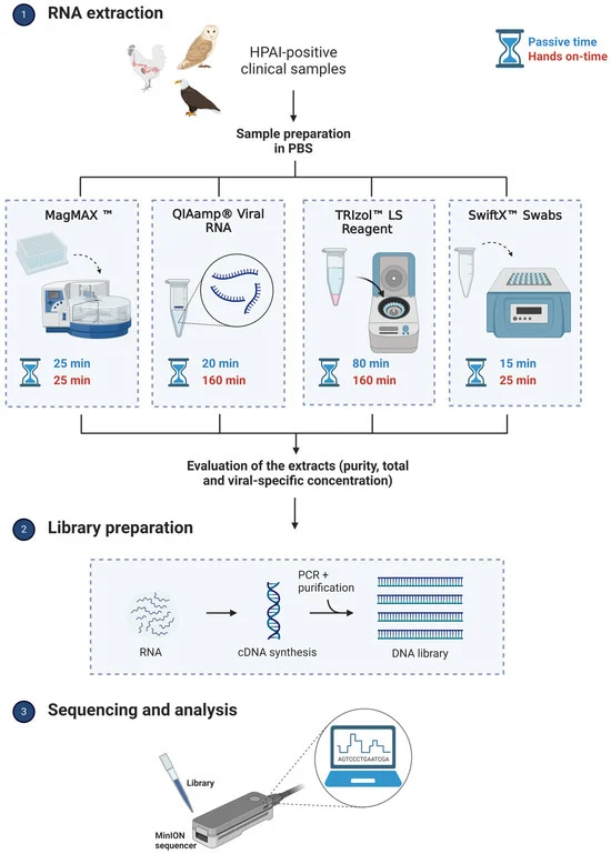 DuckSwabber's tweet photo. Comparison of RNA extraction approaches, paired with nanopore sequencing as a surveillance approach. 
👉https://t.co/HnT8e0XUQP https://t.co/TOoP4PWhmE