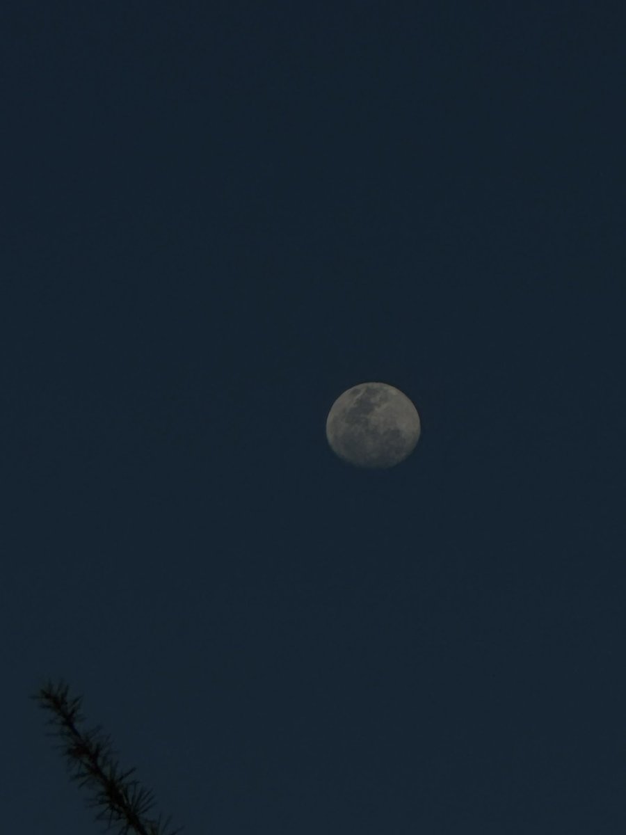 🌖