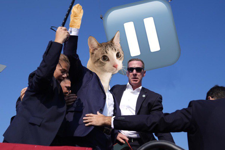 pausecatsolana tweet media