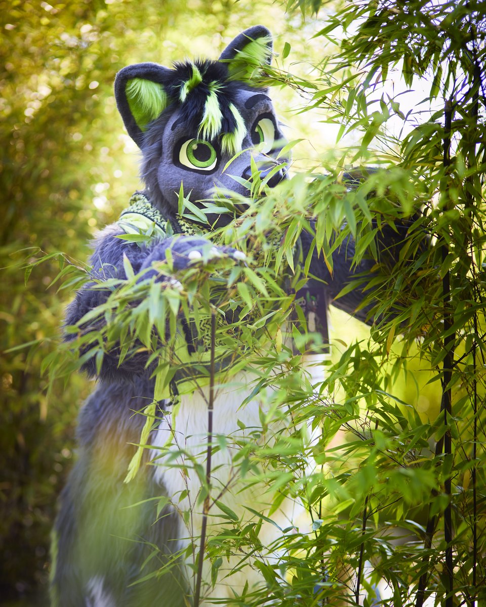 Eurofurence 28 is around the corner — see you there =3
🐺 <a href="/PacoGreyWolf/">Paco</a>