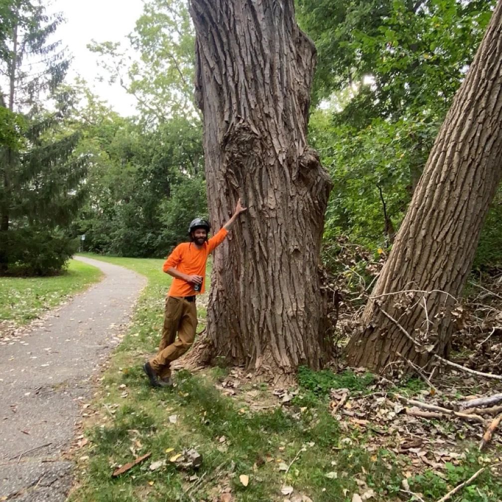 Repost from @treeninja_88
.
Big ol’ cottonwood in Omaha. This park project is wild 😜

<a href="/baileysonline/">Bailey's Outdoor Power Equipment</a> #arblife #arboristsofinstagram #treeclimber #treefaller #felling #treework #arboristlife