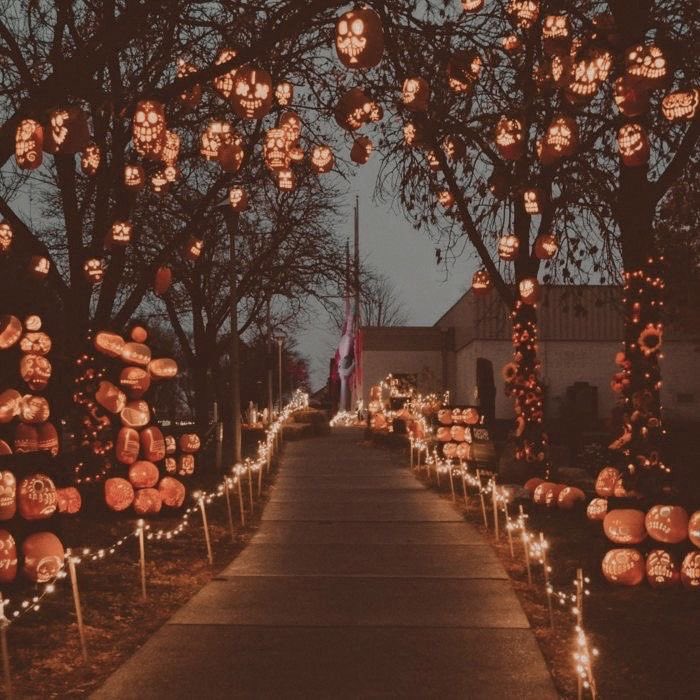 🎃