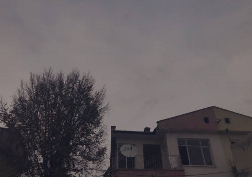 Yalnız kalmıştı ardıç kuşu. 
Sevgiliye şakıyan türkülerin 
bir anlamı yokmuş. 
Ölümü bundan işte;
Beyhude çabaların, suya gömülen bir gemi olduğunu çok sonradan anlamıştı.