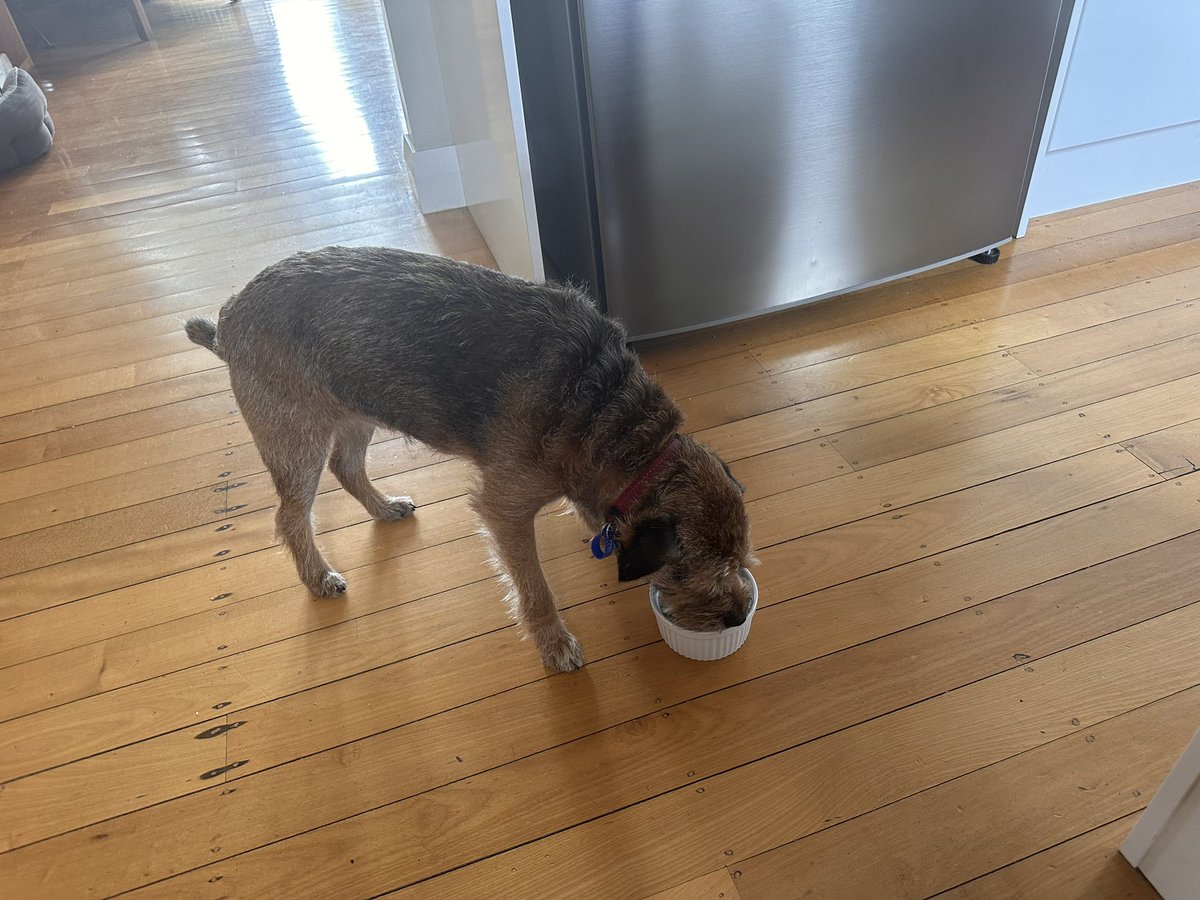 Moss the BT 🇳🇿 tweet media