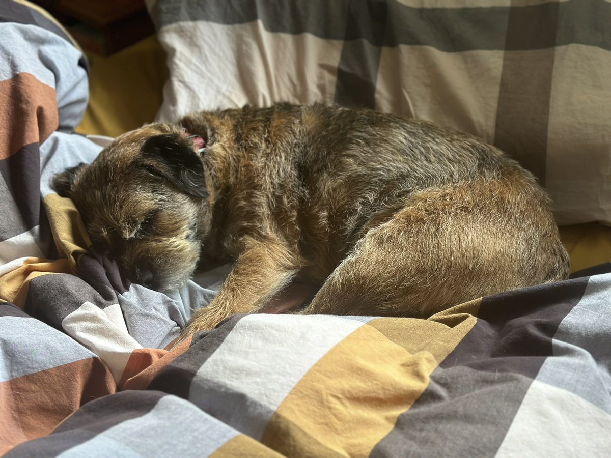 Moss the BT 🇳🇿 tweet media