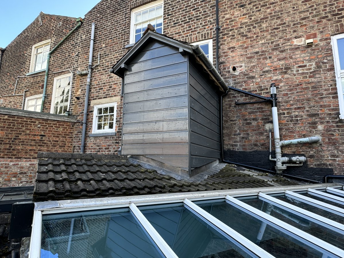 Structural &amp; Damp Survey of 1840s Grade II Listed house in Beverley.  Met a previously feathered friend who'd nested in a chimney flue, and the neighbours external first-floor toilet block extension has created a ‘flying freehold’ #surveying #RICS #Beverley #eastyorkshire