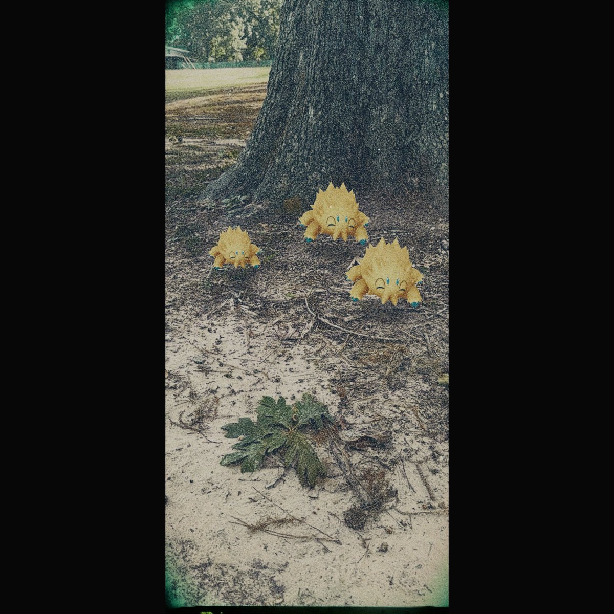 KorrenaGamer's tweet photo. Joltik photoshoot 
#gosnapshot #pokemongo #pogo https://t.co/U1FNIhpcsq