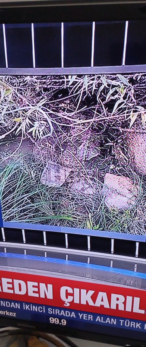 Bu #dilsizköyü konuşsun artık ben gece uyuyamıyorum bu köy nasıl uyuyor geceleri <a href="/ahaber/">A Haber</a> <a href="/Nazifkaraman/">Nazif KARAMAN🇹🇷</a>