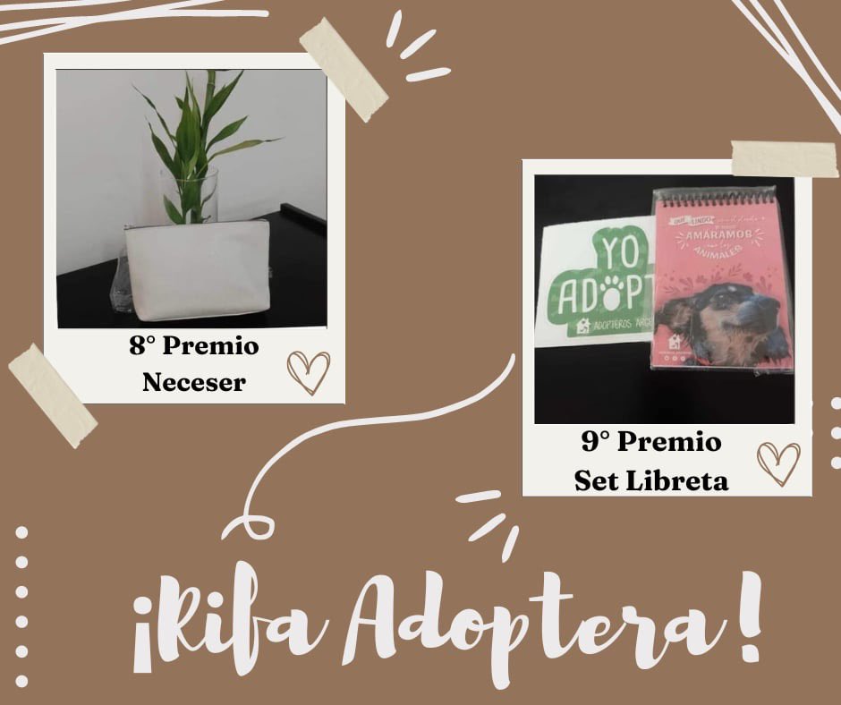 Adopteros Argentina tweet media