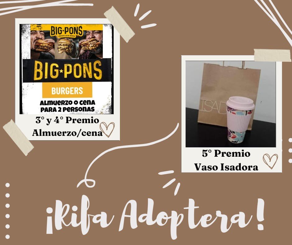 Adopteros Argentina tweet media