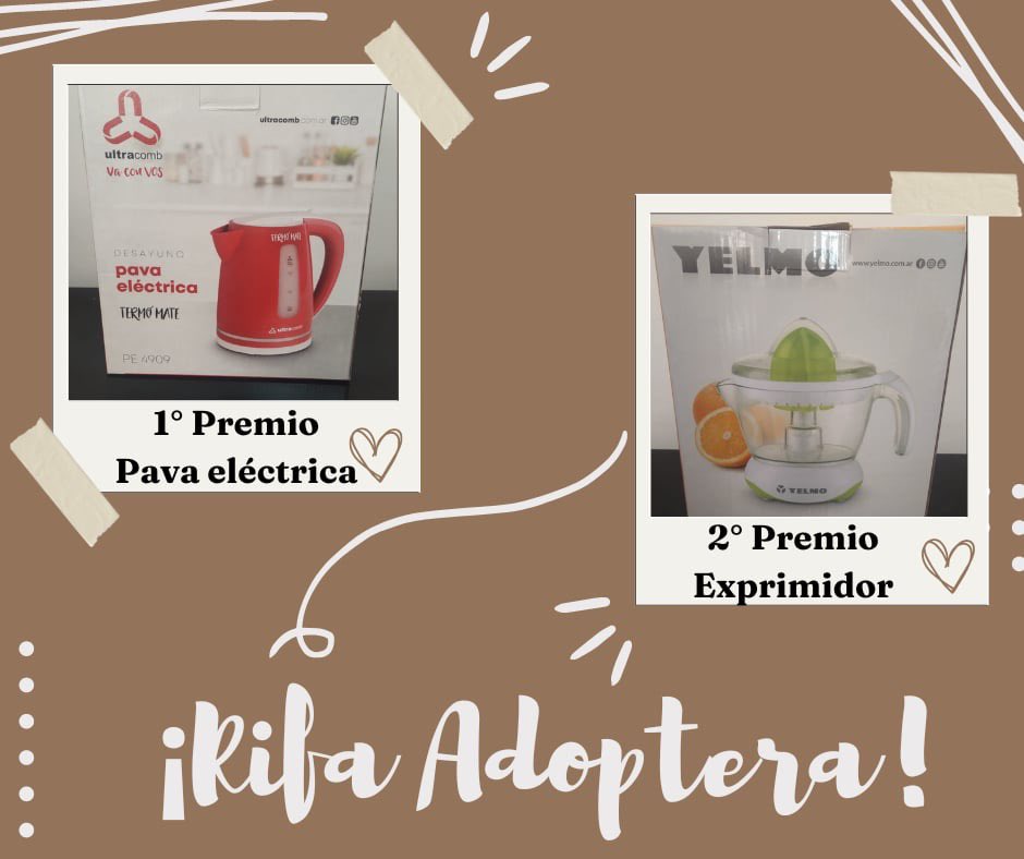 Adopteros Argentina tweet media