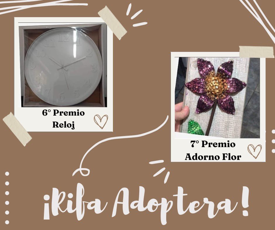 Adopteros Argentina tweet media