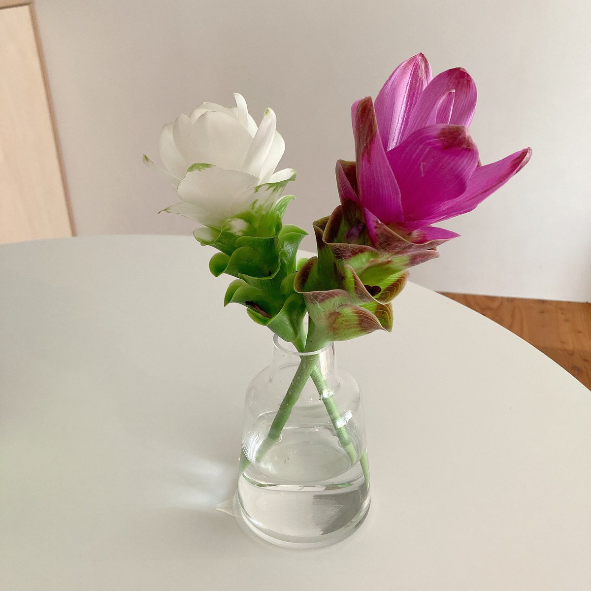 今回頼んだジェラートクルクマがとっても可愛かった！ウコンの仲間なんだって。
珍しいからプレゼントにも喜ばれそう♡

flowr.is/collections/21…

▼招待コード入力で、ロスレスブーケが【10%OFF】
A2KX

#flower_is
#ロスレスブーケ
#FLOWERのある暮らし
#pr