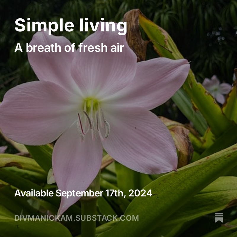 Div Manickam tweet media