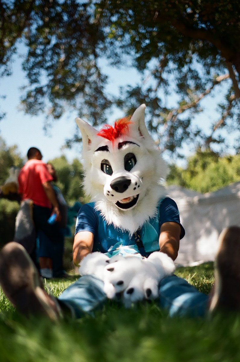 RudeBirdStudios tweet media