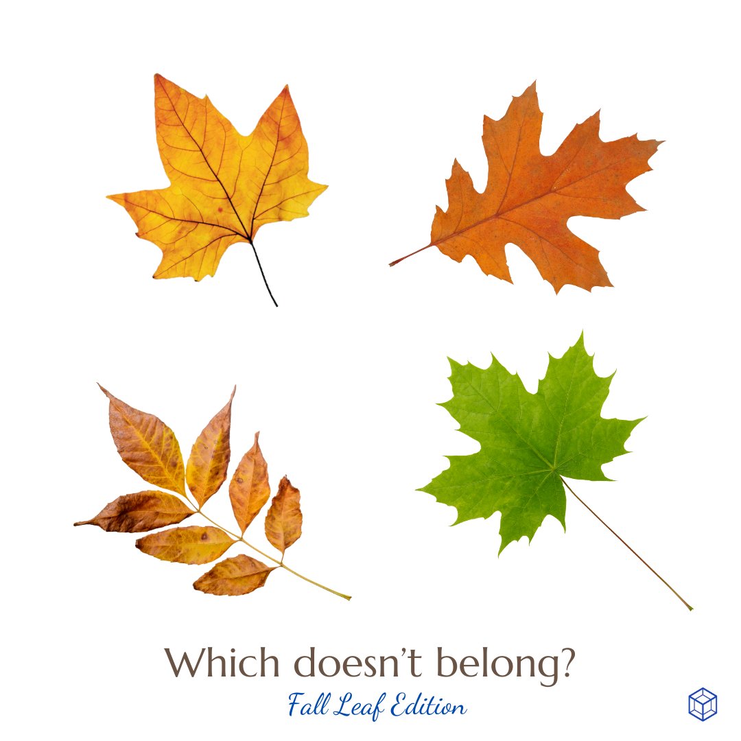 amtnj's tweet image. It's "Which Doesn't Belong" Wednesday! Notice the pictures. Which is unique? 
#math #mathroutine #njteacher #njteachers #wodb #mathteacher #mathteachers #BackToSchool #BTS24 #schooldays #September #sweaterweather #falleaves #fallvibes #autumn
