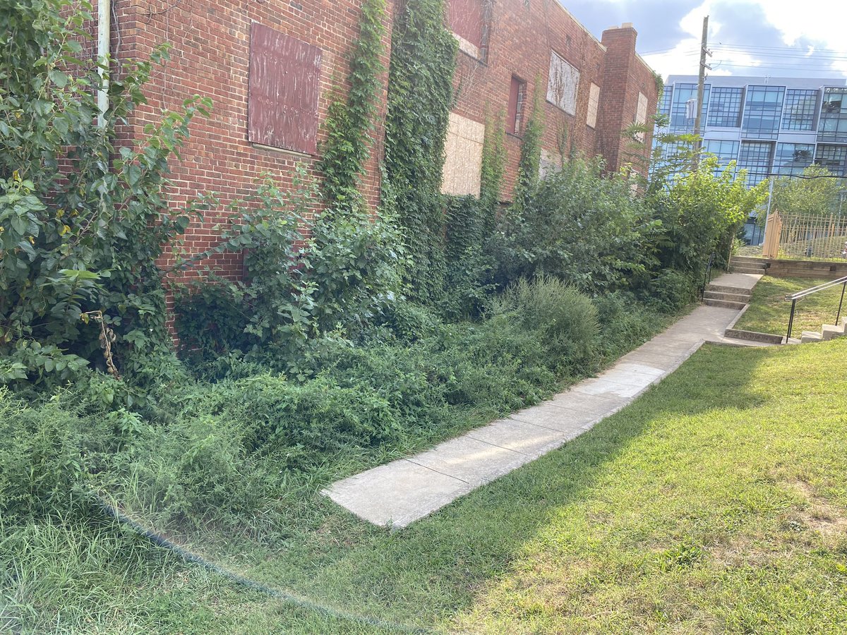 ITS3OFUS's tweet photo. @OHendersonWard8 As your next council member, I will advocate for the right of all individuals to have access to affordable, livable housing. It’s time to hold property owners accountable to ensure our communities in Ward 8 can thrive and be beautified. https://t.co/tcypJ7WERB