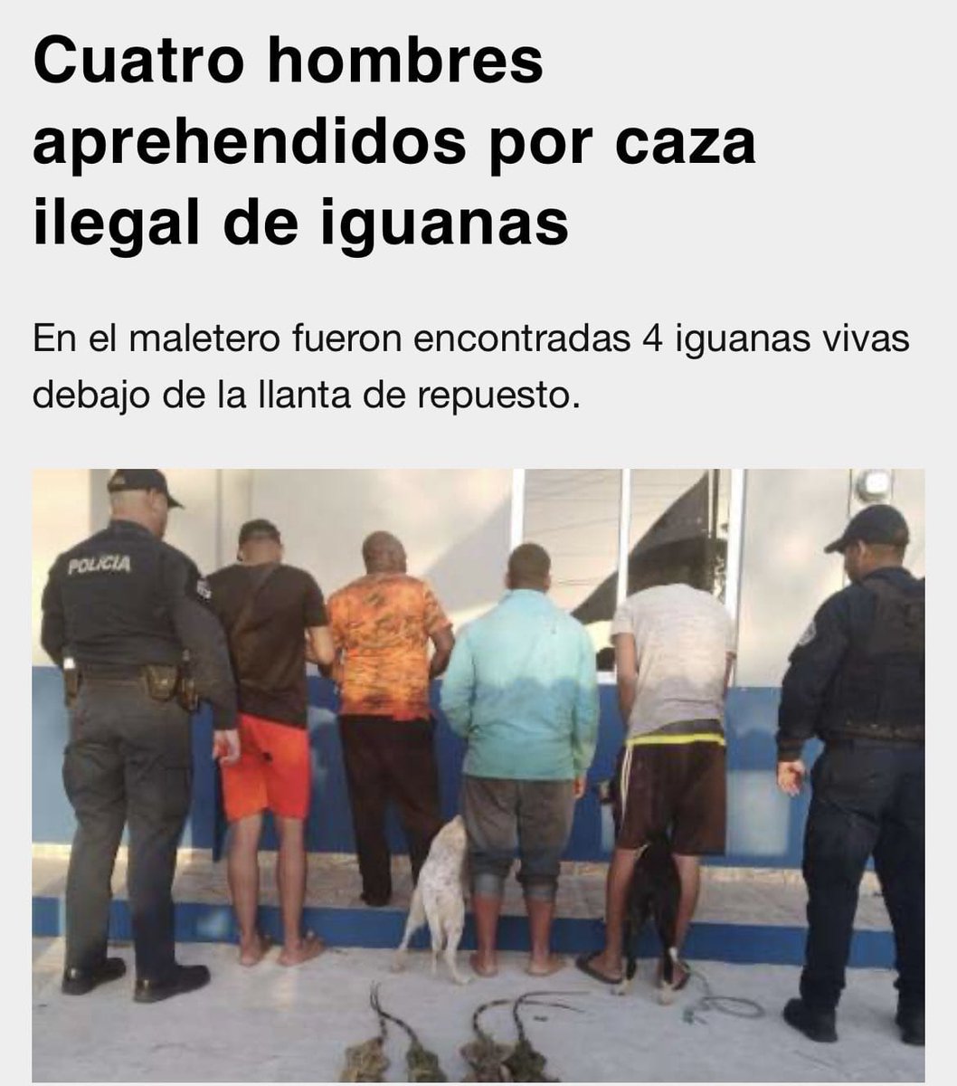 ¿Donde esta la foto de los nuevos dueños de las vigas? hasta los 2 perros van presos ...       La típica historia! Todo el peso de la ley para los infractores de delitos menores! Y los que socavan todo el porvenir y seguridad jurídica del país, paseándose... "