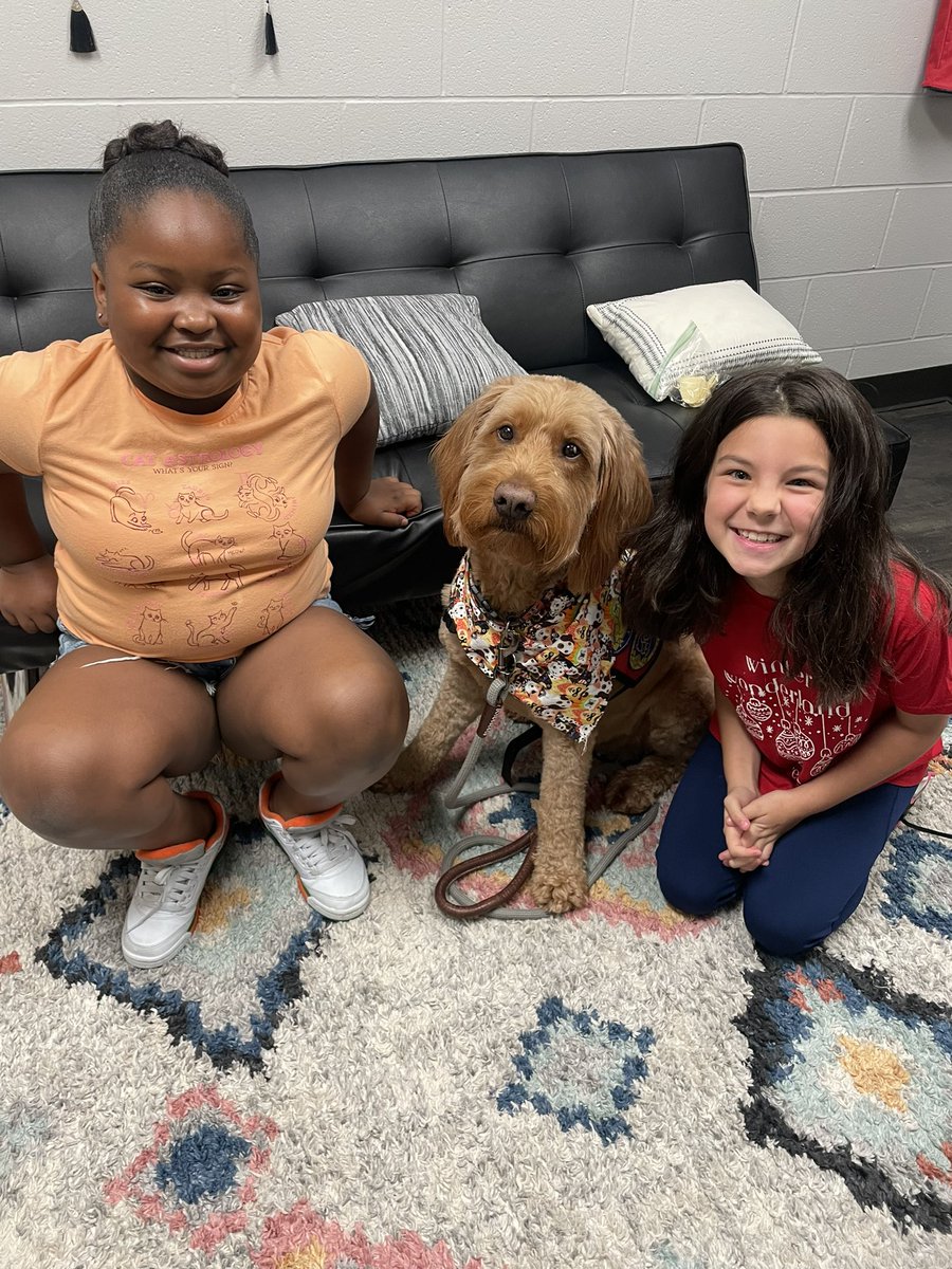 George the Comfort Dog tweet media