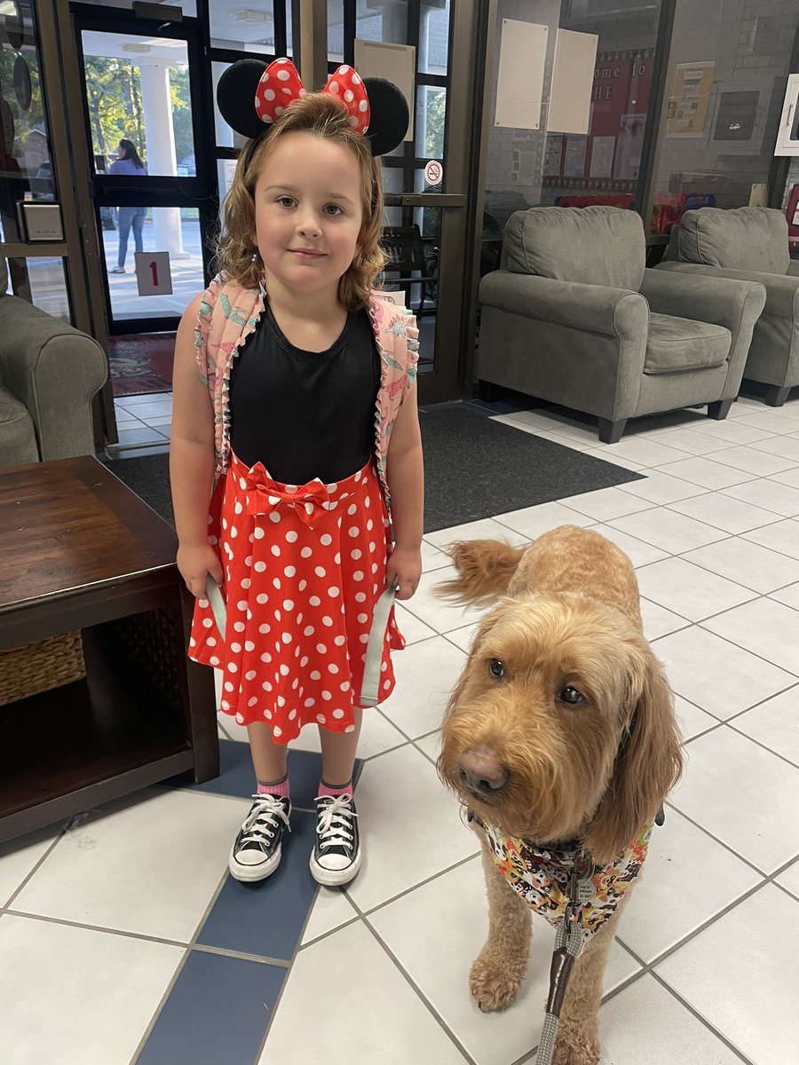 George the Comfort Dog tweet media