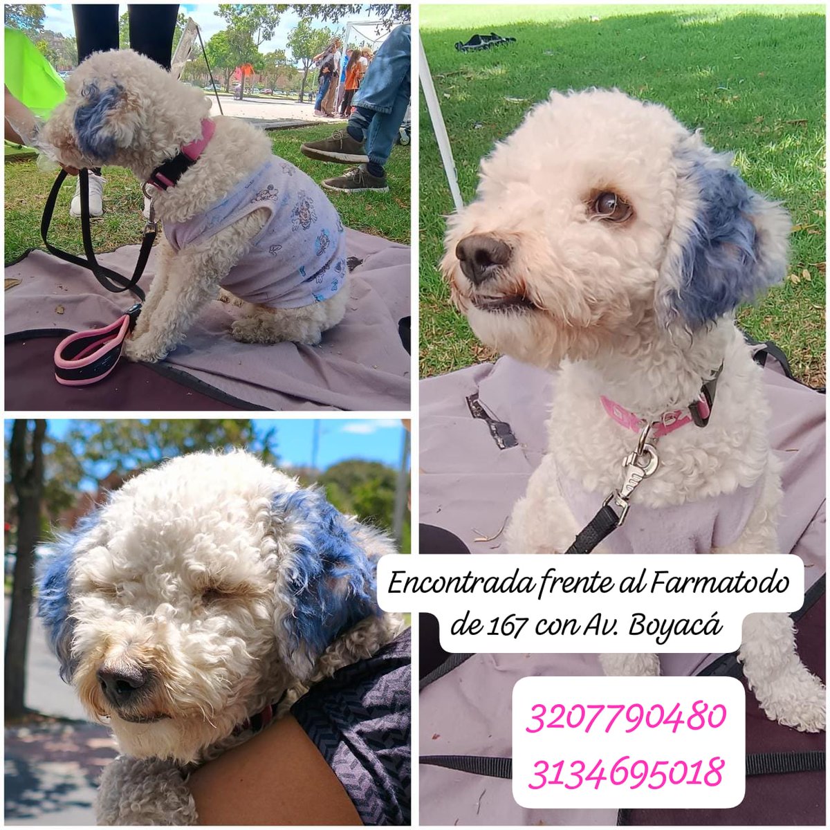 <a href="/malizca526/">Martha Cecilia</a> <a href="/jesuspedregal18/">ESTOPASARATAMBIEN</a> <a href="/negrachavarro/">Maria E. Chavarro</a> <a href="/DiegoFi27933574/">Diego Figueroa</a> <a href="/adrihcooper18/">Adriana Cooper🌷</a> <a href="/ViviOlaya/">Viviana O</a> <a href="/andres_simple/">ANDRES LEYTON</a> <a href="/motica1964/">Ma. Clara Pinzón 💛💙❤</a> <a href="/JROD_1818/">J.ROD</a> <a href="/kimvsheen/">Kim Virviescas Dra en Quiropráctica</a> <a href="/Maria_Josefi/">Josefina Ibarra</a> <a href="/jorghegomez/">Jorghe Gomez</a> <a href="/Isaedgar20/">Edgar rojas lopez</a> <a href="/AngelicaParr1/">Athena</a> @CristianVerjan <a href="/bdmercadeo/">Betty</a> <a href="/Tuiteretera/">Alejandra</a> <a href="/Carlos67518017/">FUERA PETRO.🇨🇴🇨🇴</a> <a href="/Feysar/">Feysar J. Flórez B.</a> <a href="/ilvaarias/">Yolanda Arias</a> <a href="/Claudinesvargas/">Claudia Vargas</a> <a href="/GabrielaVarP/">𝐆𝐚𝐛𝐫𝐢𝐞𝐥𝐚 𝐕𝐚𝐫𝐠𝐚𝐬 P 👶</a> <a href="/odfuertes/">Daniel Fuertes ▕⃝⃤</a> <a href="/DagoGomez28/">Dago Gomez Puentes😺😺🎗️</a> <a href="/vanechocolate1/">Soy Maira NO Maria</a> <a href="/camiloanimal/">Camilo Pinto</a> <a href="/OcampoNaranjo/">Luz Adriana Ocampo Naranjo</a> <a href="/xiomy1110/">Xio ♡</a> <a href="/akalapatriciam/">Erika Patricia</a> <a href="/dianalues/">Diana Lucia E</a> <a href="/gorkacarballo/">Gorka Carballo</a> <a href="/PerritoCalvo/">Perrito Calvo</a> <a href="/Anhelaire/">Anhelaire</a> <a href="/SofiVillalb/">Sofia Villalba</a> <a href="/Angela_72/">Angela Fonseca P</a> <a href="/lagb58/">Luis García</a> <a href="/claudiavlez/">Claudia Vélez R.</a> <a href="/LadyAngel0222/">María EM</a> <a href="/CGL_Z/">caro g</a> <a href="/Elmalditoyo/">El Sano insano</a> <a href="/aarangob11/">Alfredo Arango 🇨🇴 🇵🇸</a> <a href="/la_goye/">La Goye</a> <a href="/jaderoriginal/">Verdolaga</a> <a href="/ananis/">ananis</a> <a href="/Karlos266/">Don Panchoso</a> <a href="/ManuelA64377668/">Manuel Antonio Salazar</a> <a href="/motita_y/">MOTITA Y LOLA</a> <a href="/CatacardenasCh/">Catalina</a> Me ayudan a publicar xfa. La encontro una amiga de una amiga