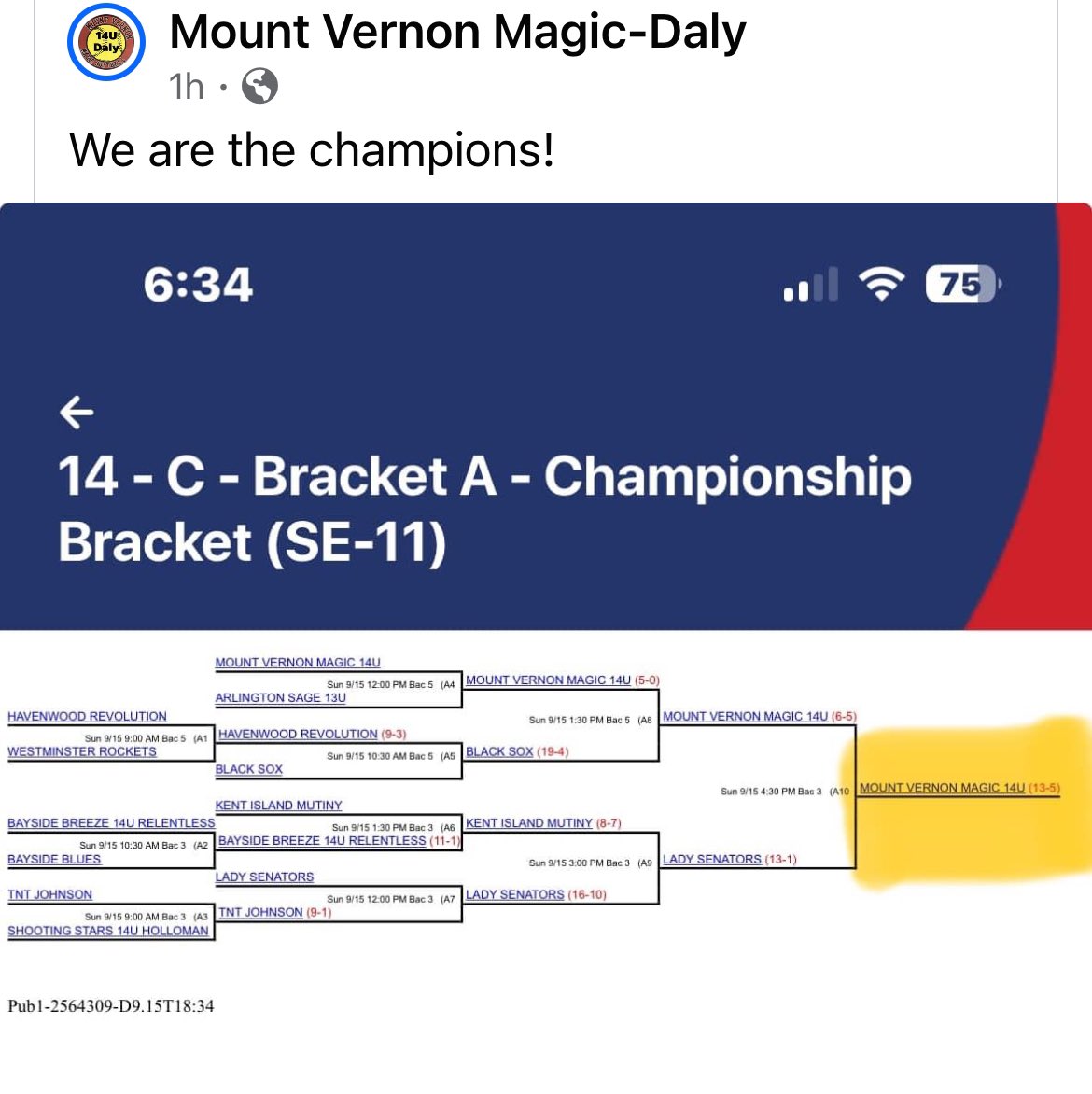 Mount Vernon Magic tweet media