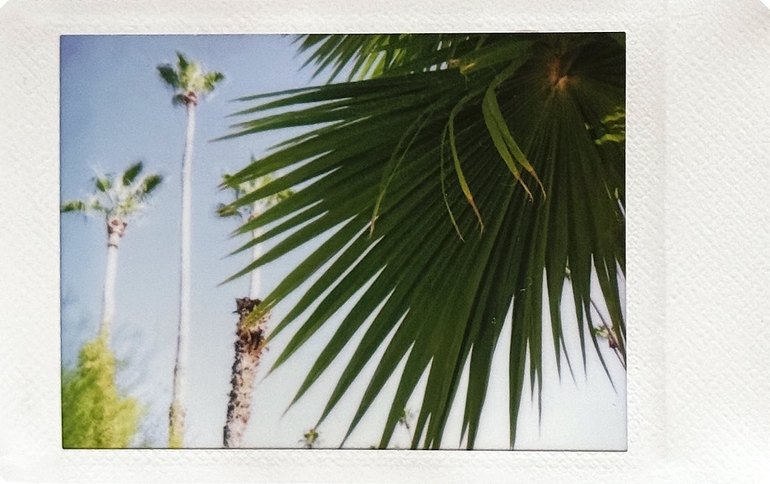 InstallationMag's tweet photo. Day 209 / 366 ⏳"In the desert, you have time to wonder, to question, to put things together in new ways.” - Lois Lowry #instantfilm #366project https://t.co/1clvdGHUsT