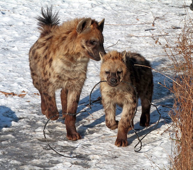 HourlyYeen's tweet photo. [🔗](https://t.co/vIDUteyM3C) https://t.co/Rgz1WoWLNE