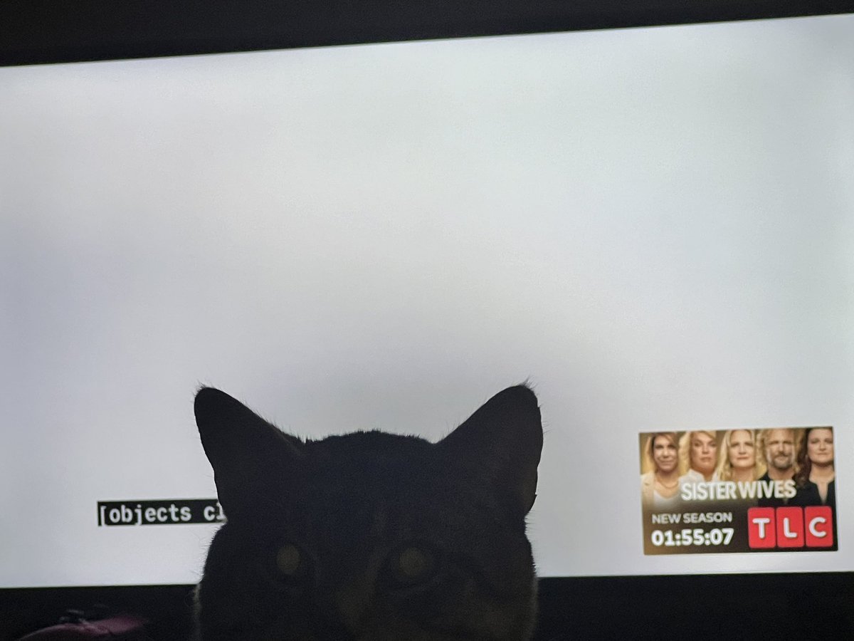 Jaded_Chinx's tweet photo. I hate that TLC is doing this because Chidi is blind. They did the same thing by drowning out the sound with David. Don’t mind Oscar in my shot 😂 #90DayFiance #90DayFianceBeforeThe90Days #B90days https://t.co/WiiE4nMR8D