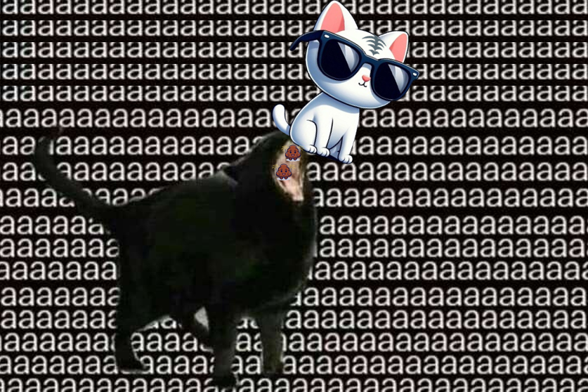 CatsPump's tweet photo. Cat 🙀 meme will be trending in the next Bull Run🔥
Today we meet @aaaCatSui , hot project on @SuiNetwork
🚀🚀🚀
#CATSPUMP #CatsPump https://t.co/ZKy6Iu1bFN