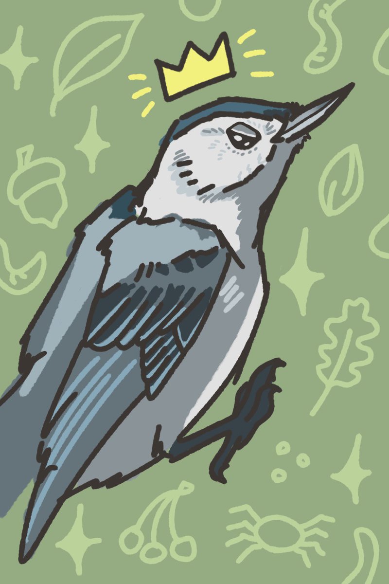 I love this Nuthatch so much this is the fastest I have ever drawn a bird in my life hahaha