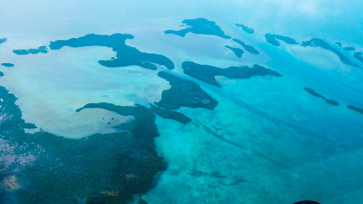 GrabTheDips's tweet photo. $5.00 SOL - 2 hours - winner(s) 🤔👀🤷‍♂️  
Time to go back to one of my frequently visited destinations to go fishing.  Anyone know where? You don't have to know to win, just wondering if it looks familiar.  (Central America - Caribbean Sea)
✅Like
✅Comment
✅Retweet https://t.co/6KBMSPHxnb