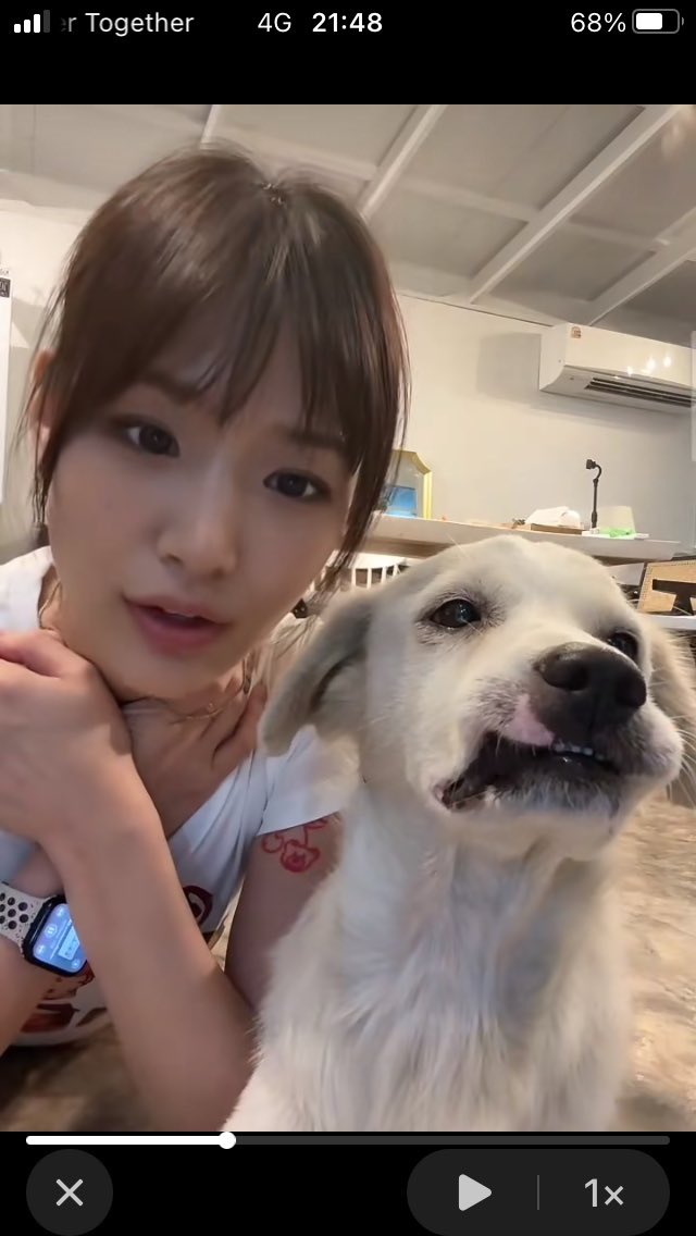 โดยธรรมชาติ คนรักสัตว์สัตว์ก็ชอบอยู่ด้วยคนที่อยู่กับเด็กได้เด็กก็ชอบก็เข้าหาแปลว่าคนนี้มีจิตใจดีเป็นผู้ใหญ่ใจดีไม่ทำร้ายเขา
คนเป็นล้านคนรอบข้างแม้แต่คนในครอบครัวฝ่าย ผช ยังชมน้องน่ารัก คำถามทุกวันนี้ยังไม่ได้คำตอบเลิกเพราะอะไร?ผชปัญหาเยอะเองรึผญไม่ดี?เอาให้แน่ 
#กามิน #แน็กชาลี