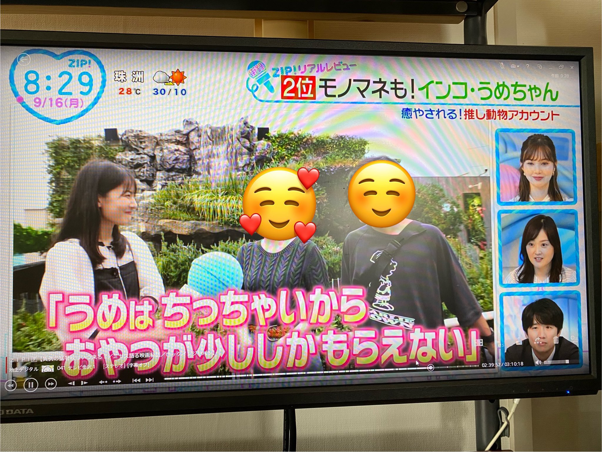 ぴんふ on X: ぴんふ on X: