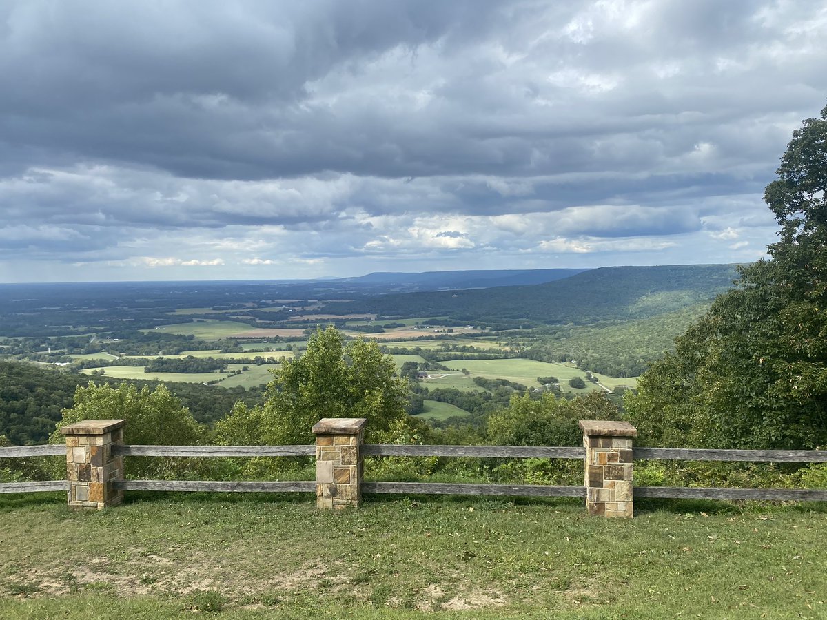 Josh Carter tweet media