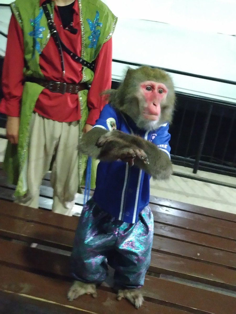 カイ君ページ カイ君