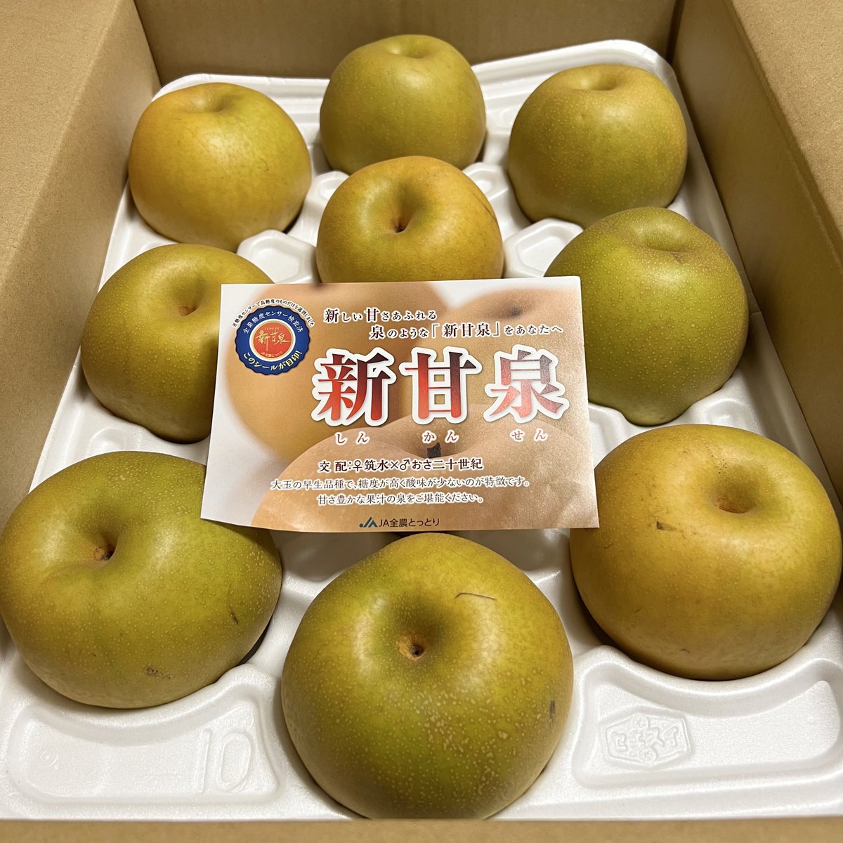 今月は決算月だけど税理士さんが優秀なので特に慌てる事なく♪

この税理士さんはコロナ禍での持続化給付金に関してウチの子供だけではなく多くのボクサーからの相談を快く引き受けてくださった🥊

そんな親切な方だから顧客が増え続けてめちゃくちゃ忙しいらしい

↓税理士さんからの贈物
