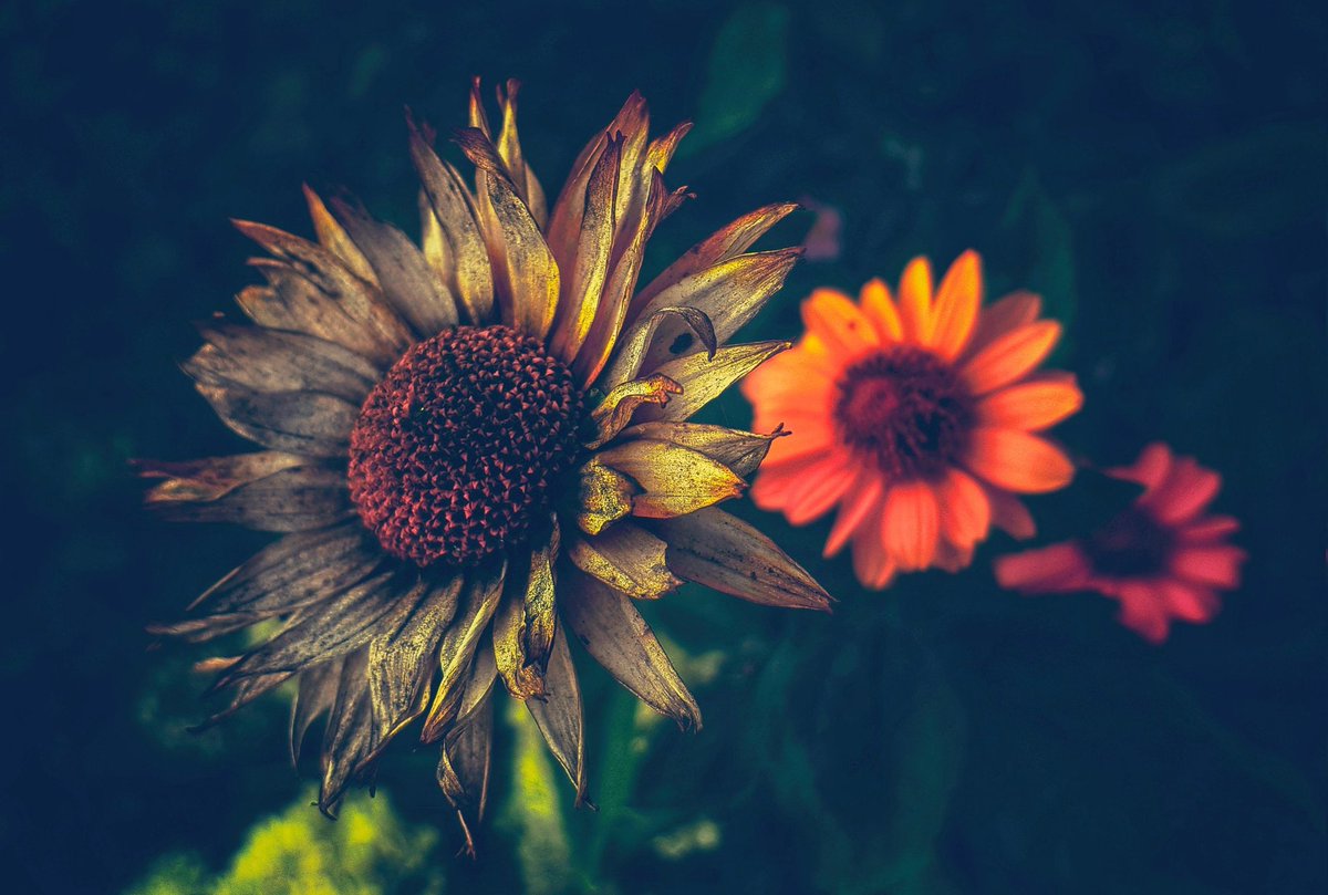 ❥ 𝙄𝙨𝙖 (@___june______) on Twitter photo 