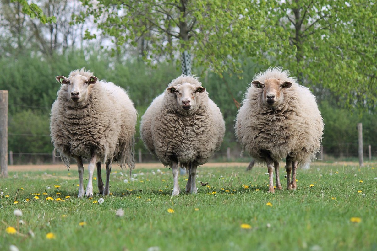 Newport City Radio tweet media