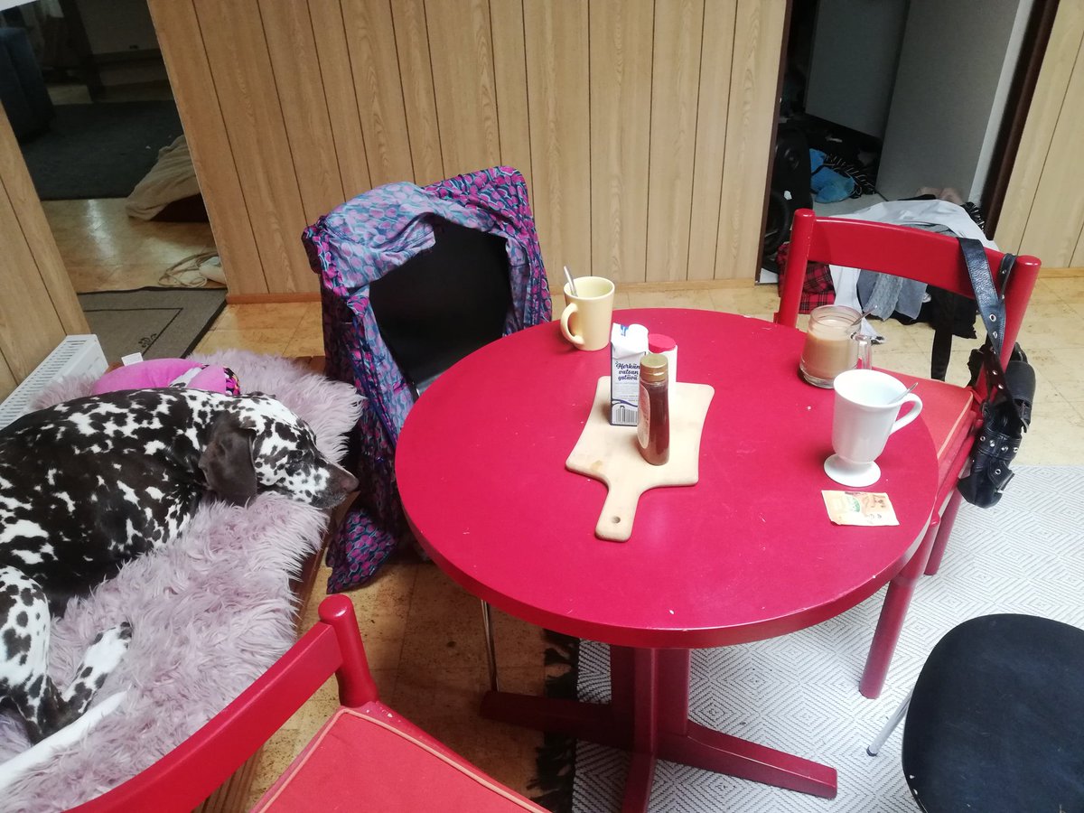 SiljaSees's tweet photo. Is it normal to put a bench for the dog in the kitchen by a dinnertable..?😅
We eat and socialize with guests like this.😏
And the bed - See...🤷🏼‍♀️ 
I guess I'd need a spouse.😆
And should have kids too!🤔
#nothomealone #home #happycampers #happyspots #ourpack #cometomama #munlauma https://t.co/khbLmgXVx0