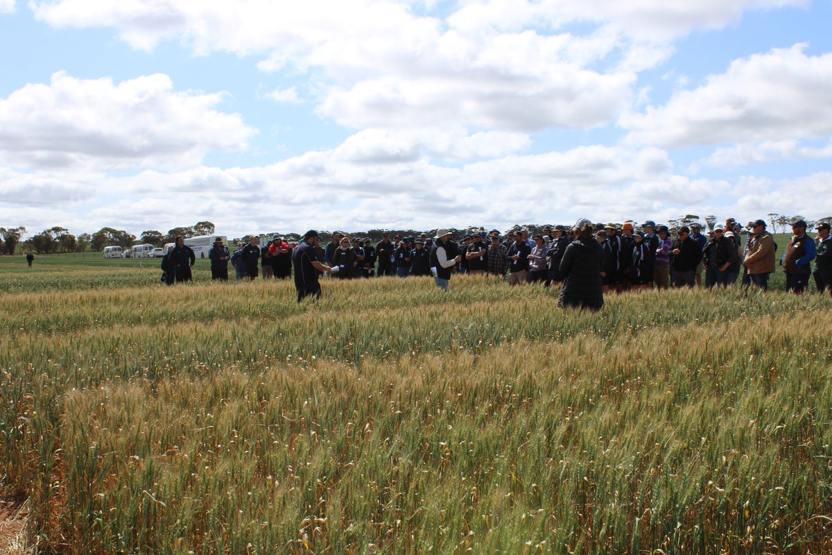 Thanks to the <a href="/SA_PIRSA/">PIRSA</a> staff at the Minnipa Agricultural Centre for creating a great industry event for the upper EP last Wednesday, and giving LongReach the opportunity to discuss our new wheat varieties with growers