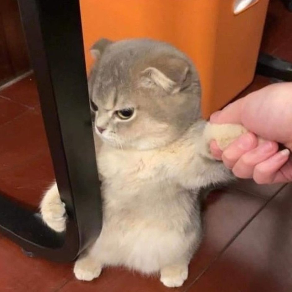 𝑹𝒊𝒏𝒊 ᵏʰⁿ tweet media