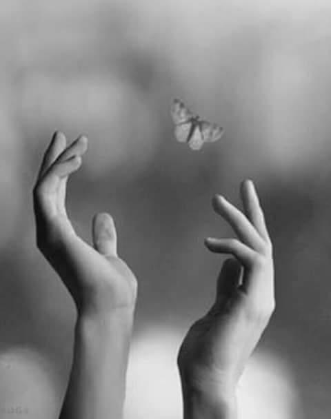 #musings 
Our days are happier when we give people a bit of our heart rather than our mind.🌹🌹🌹