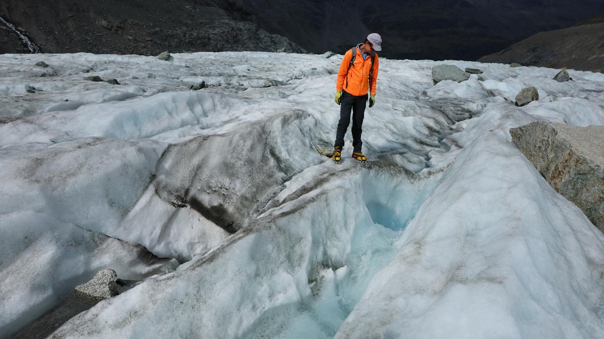 stories_green's tweet photo. POST-GLACIAL ECOSYSTEMS COULD HELP SLOW DOWN CLIMATE CHANGE: STUDY
https://t.co/j29q1rgAzo
#climate, #CO2, #earth, #ecosystem, #ecosystems, #environment, #floricans, #getgreengetgrowing, #glacier, #globalchange, #gngagritech, #grasslands, #greenstories, #himalaya, #himalayas, https://t.co/46zxGWUTuX