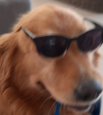 Streamloots ES tweet media
