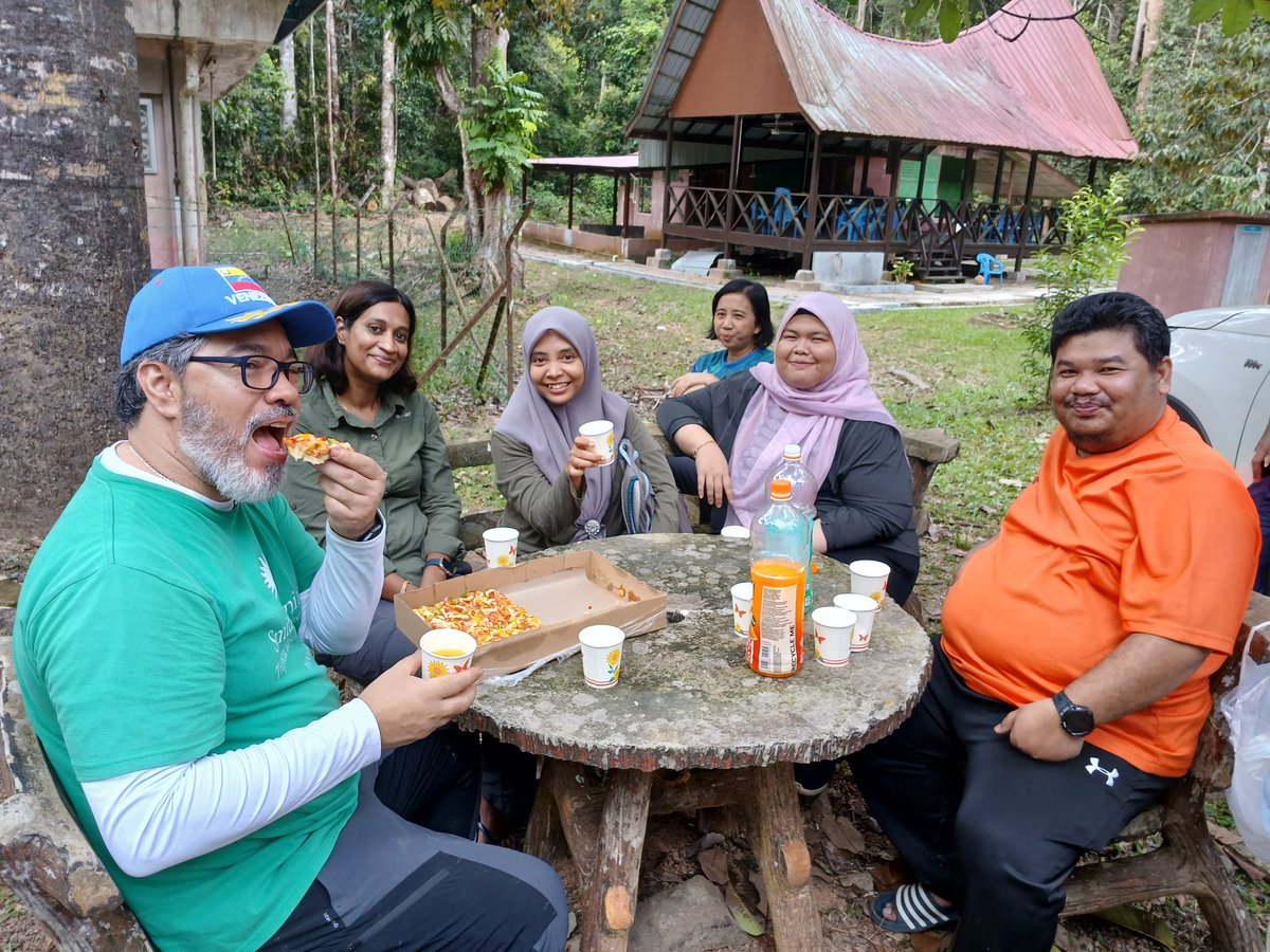 Great start for the first NGEE-Tropics intensive site in South-East Asia at Pasoh (Malaysia) by installing 30 sapflows sensors and two soil pits! A big thank for all the collaborators from NGEE and FRIM 🇺🇲 🇲🇾 🇵🇦
<a href="/ForestGEO/">ForestGEO</a> <a href="/NGEETropics/">NGEE-Tropics</a>