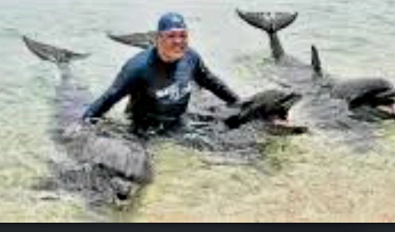 He's under protection of dolphins in Subic