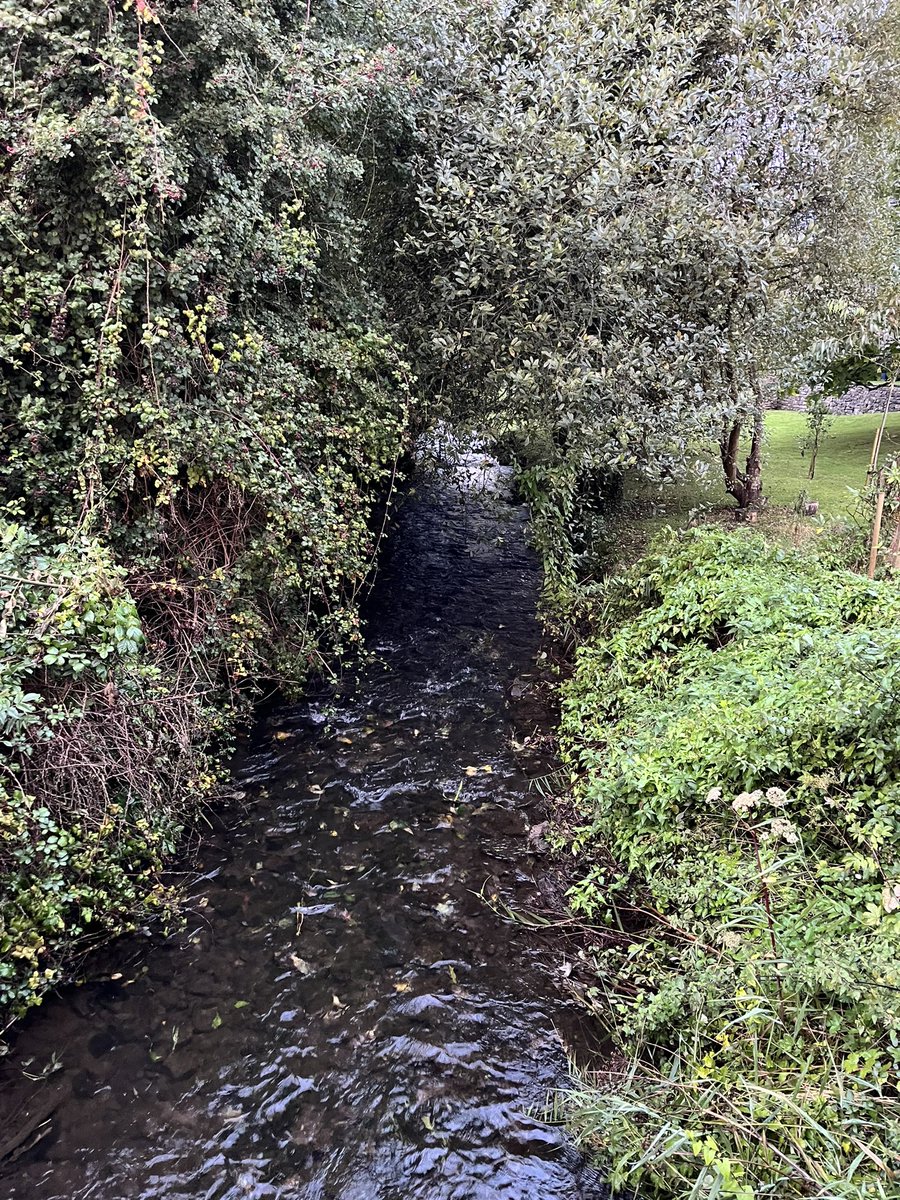 chrisglynn00's tweet image. Early morning stroll round Cowbridge. Beautiful place, made even better by the brilliant @CowbridgeMusic festival. Pleasure to be part of it last night with @Harriet__Burns @AliceNeary @MattFEATHERSTO3